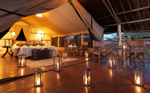 satao elarai bedroom tent kenya yellow zebra safaris