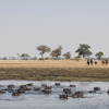 okavango horse safaris hippos botswana yellow zebra safaris