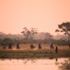okavango horse safaris sundowners botswana yellow zebra safaris