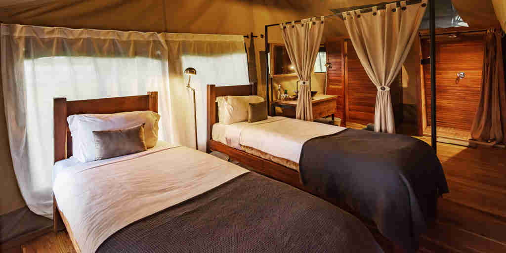 dunia camp twin bedroom tanzania yellow zebra safaris