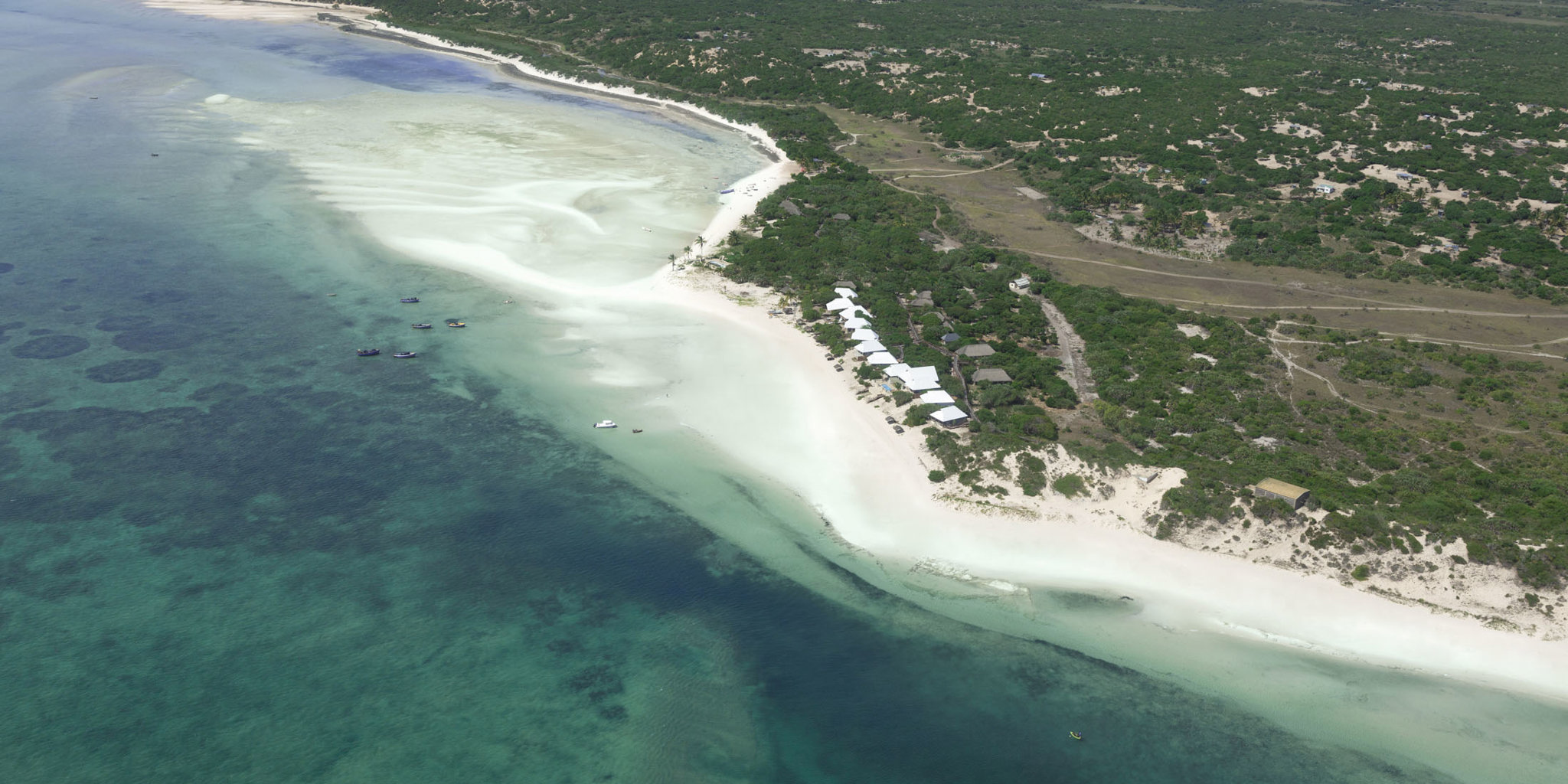 azura marlin beach view mozambique yellow zebra safaris