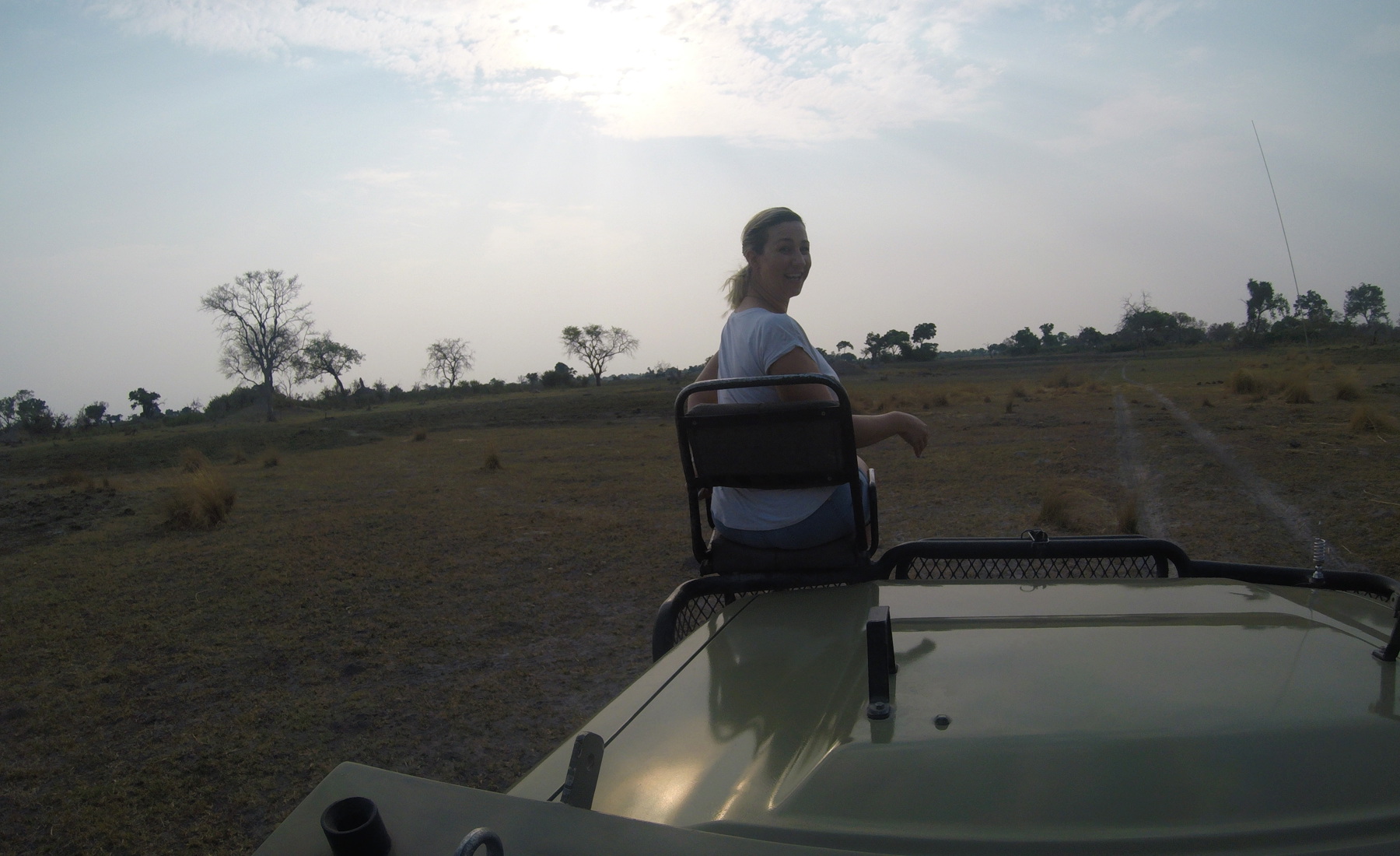 solo safari angela zimbabwe yellow zebra safaris