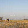 Helicopter sundowner Shinde Okavango Delta Botswana Yellow Zebra Safaris