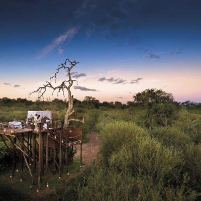 chalkley treehouse lion river sabi sands yellow zebra safaris