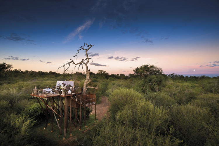 chalkley treehouse lion river sabi sands yellow zebra safaris