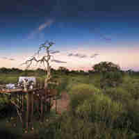 chalkley treehouse lion river sabi sands yellow zebra safaris