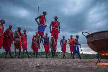 Maasai Mara tribe in Kenya with Yellow Zebra