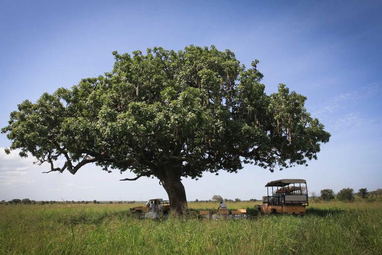 Kidepo Valley National Park Landscape, Uganda