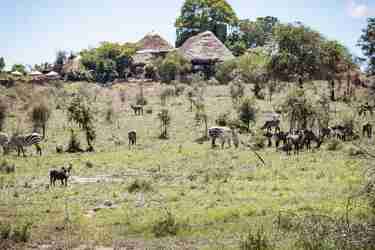 Wildlife, Kidepo Valley National Park, Uganda