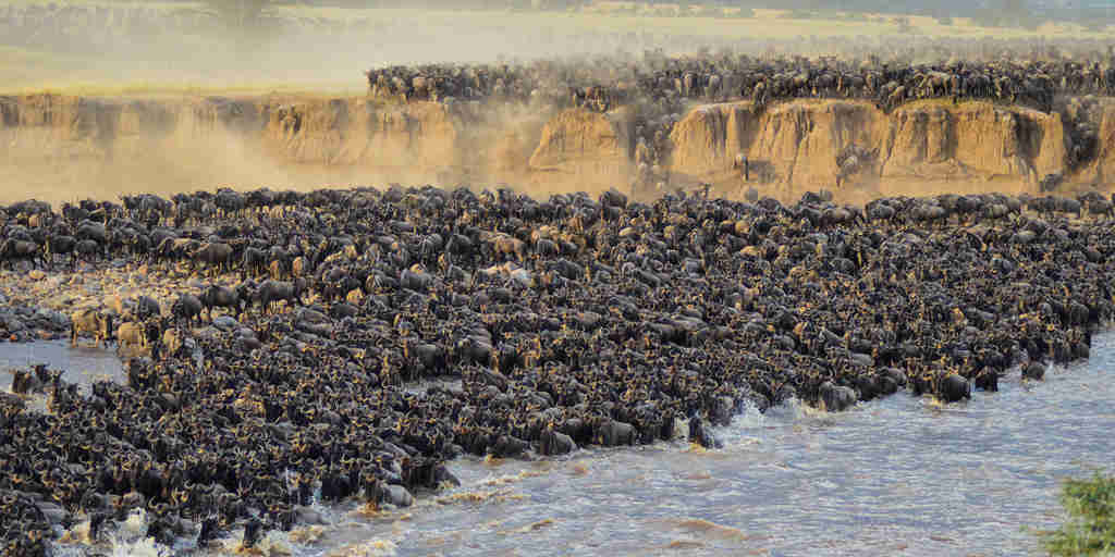 Seeing the Great Migration crossing in Tanzania