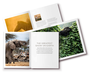 Brochure on top 10 greatest experiences in Africa