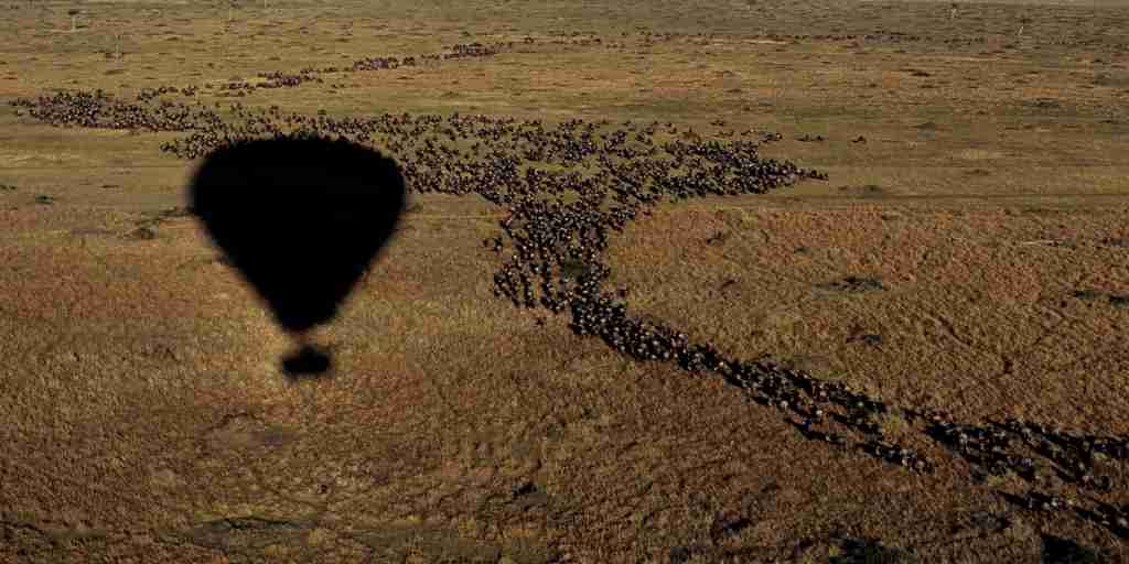 Hot air balloon safari in Tanzania, Africa