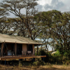 Tanzania Safari Lodges & Camps | Luxury Lodges | Yellow Zebra Safaris