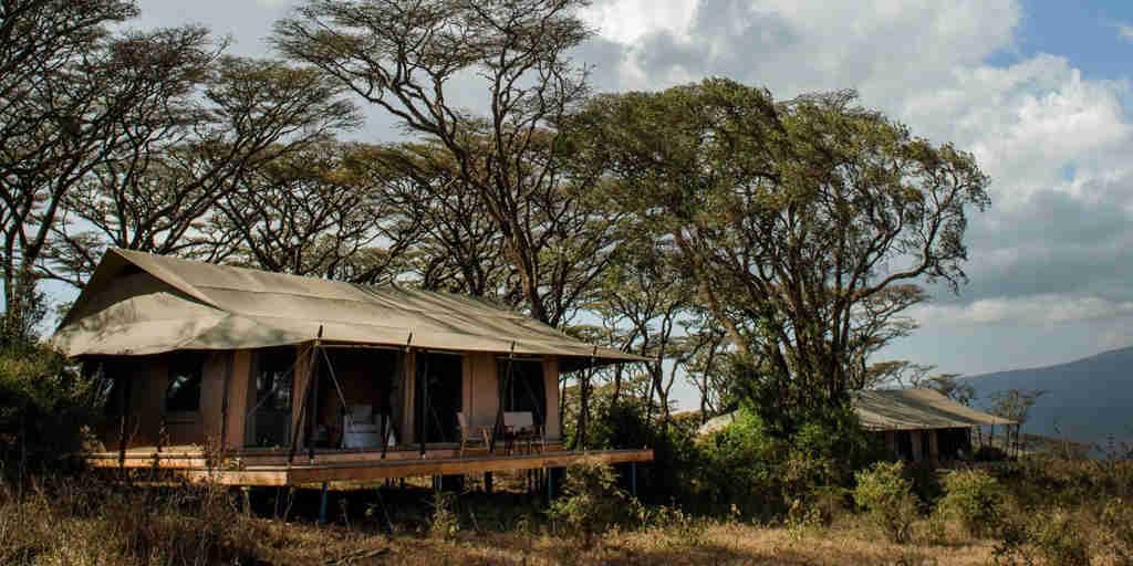 Best lodges in Tanzania, Africa safaris