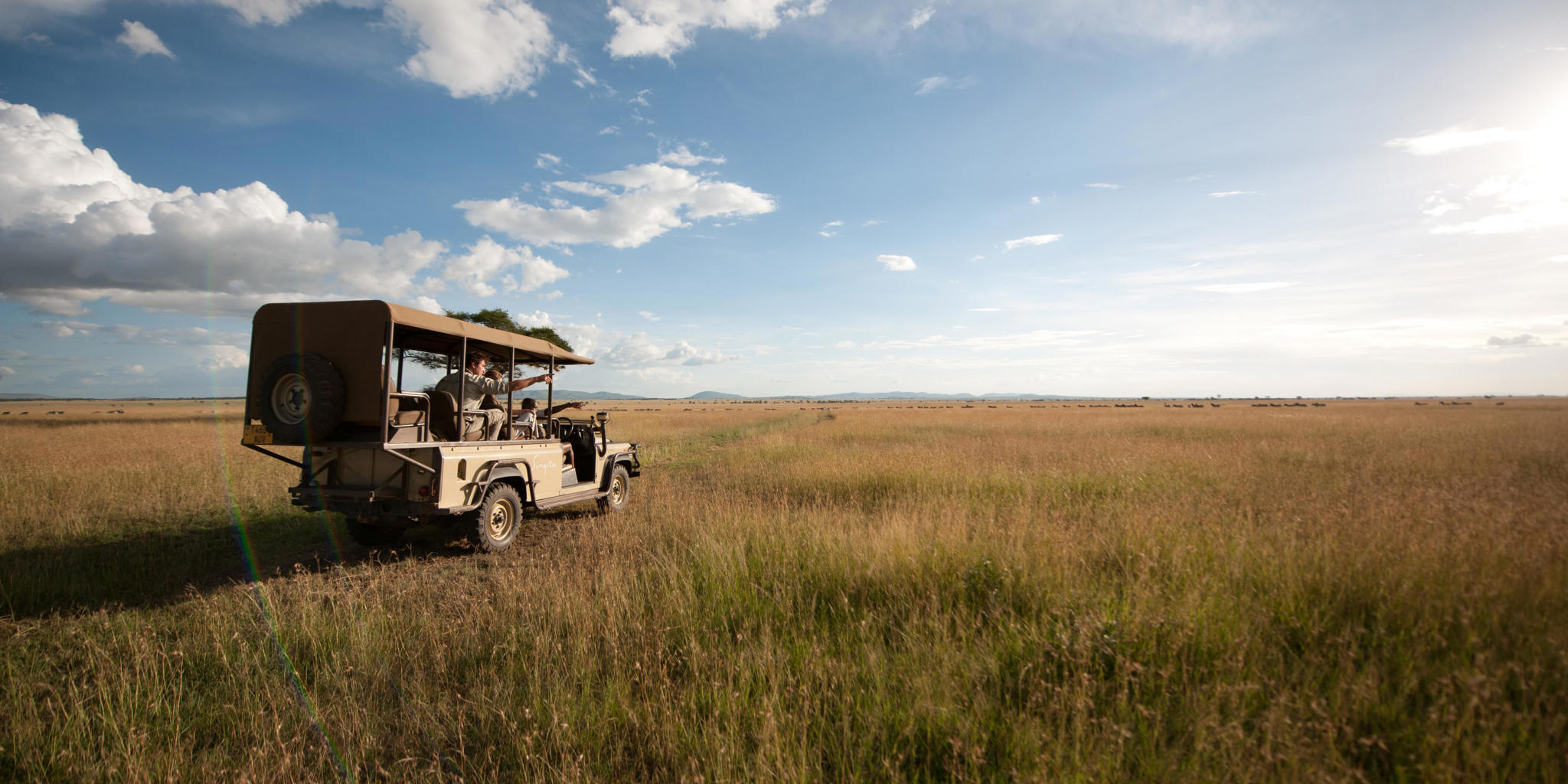 Game drives in the Serengeti, Tanzania experiences
