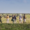 Walking safari experiences in Tanzania, Africa