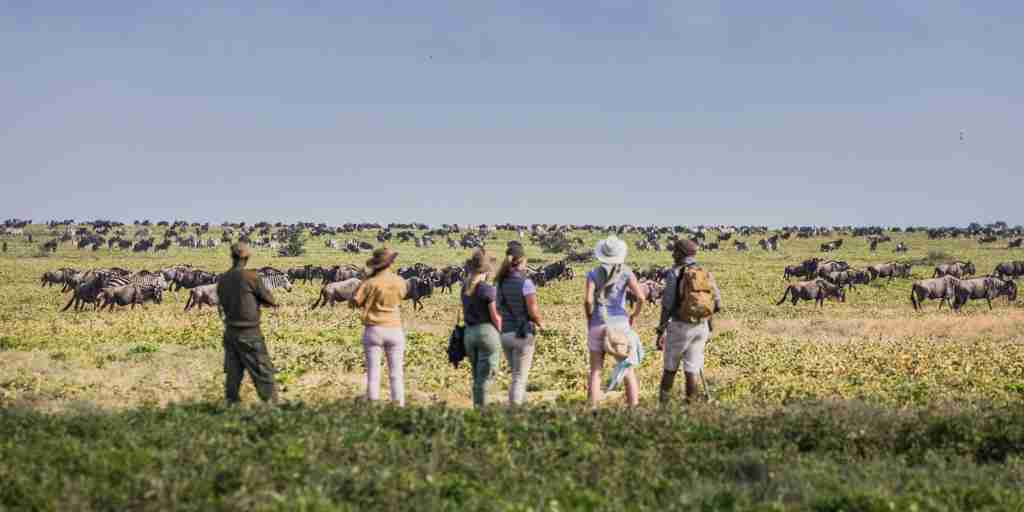 Walking safari experiences in Tanzania, Africa