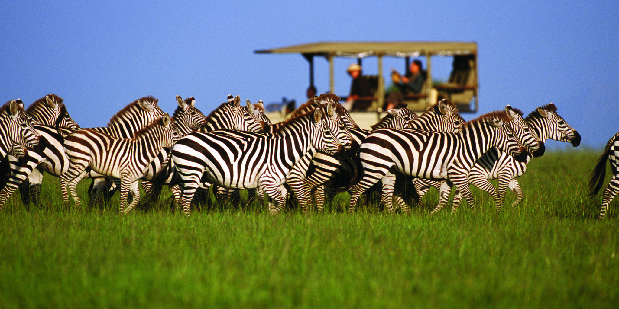 Serengeti Safaris | Tanzania Safaris