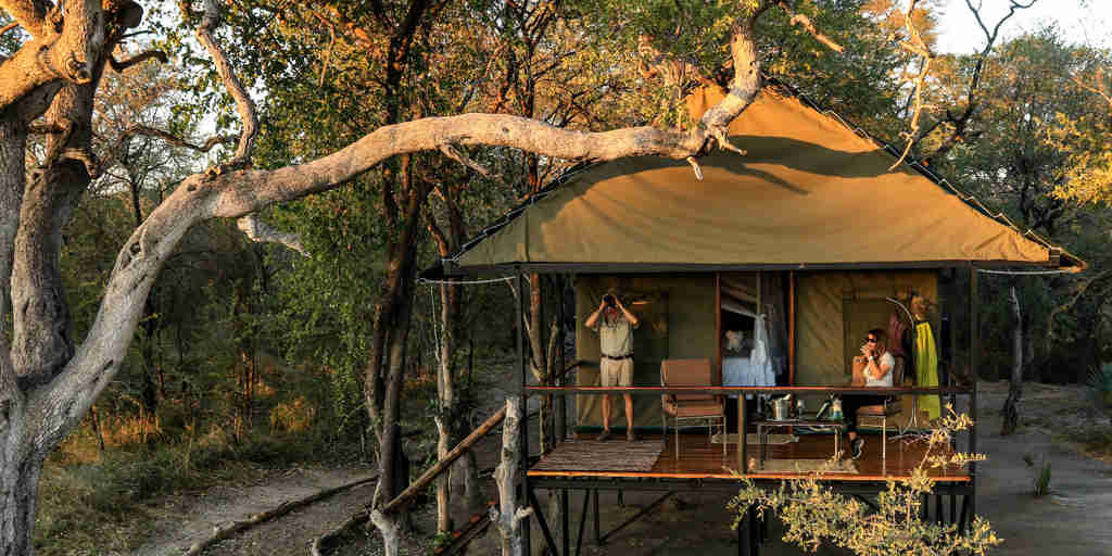 Saddlebill tents, Bomani Tented Lodge, Hwange, Zimbabwe