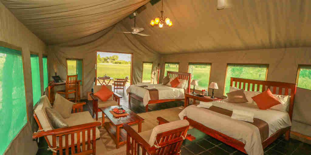 Spurwing bedroom, Bomani Tented Lodge, Hwange, Zimbabwe