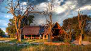 Main lodge, Bomani Tented Lodge, Hwange, Zimbabwe