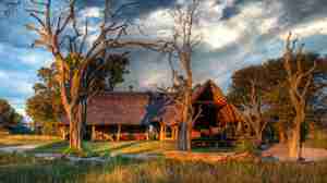 Main lodge, Bomani Tented Lodge, Hwange, Zimbabwe
