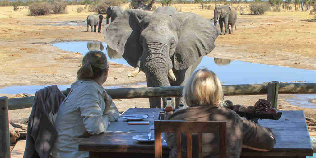 Elephants at waterhole, Nehimba Lodge, Hwange, Zimbabwe