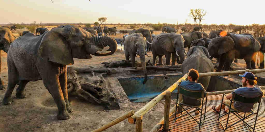 Elephants visiting, Nehimba Lodge, Hwange, Zimbabwe