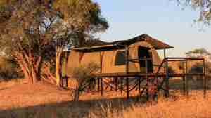 Tented room, Jozibanini Camp, Hwange, Zimbabwe