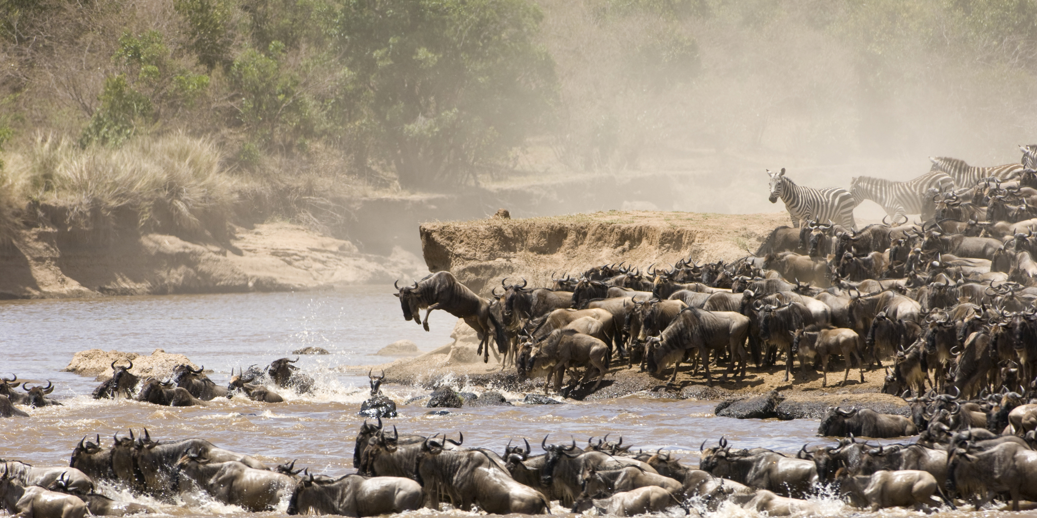 The great migration, Maasai Mara national reserve, Kenya