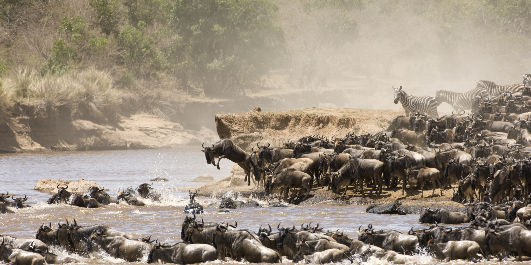 Maasai Mara National Reserve | Kenya Safaris