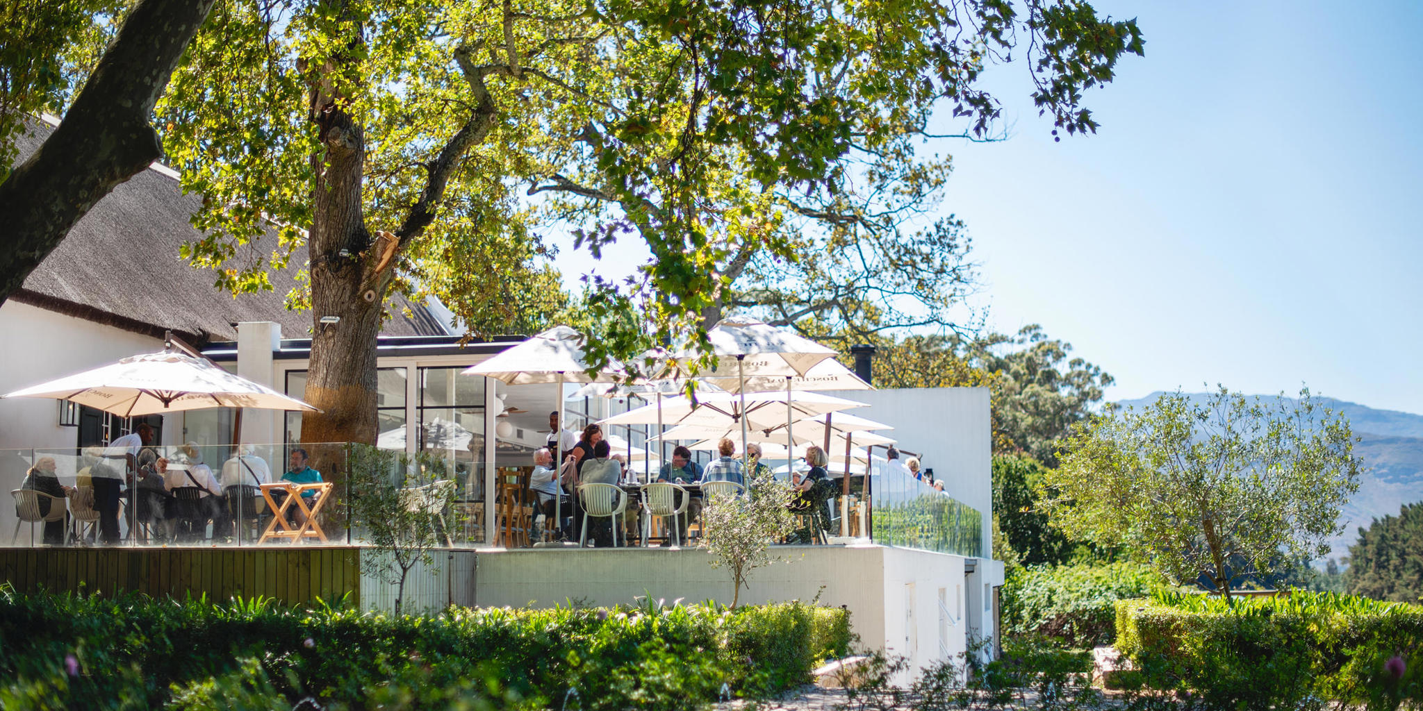 restaurant, boschendal, the winelands, south africa