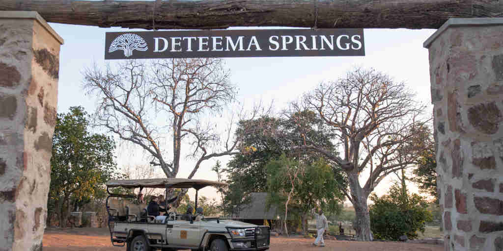 game drive, deteema springs camp, hwange national park, zimbabwe