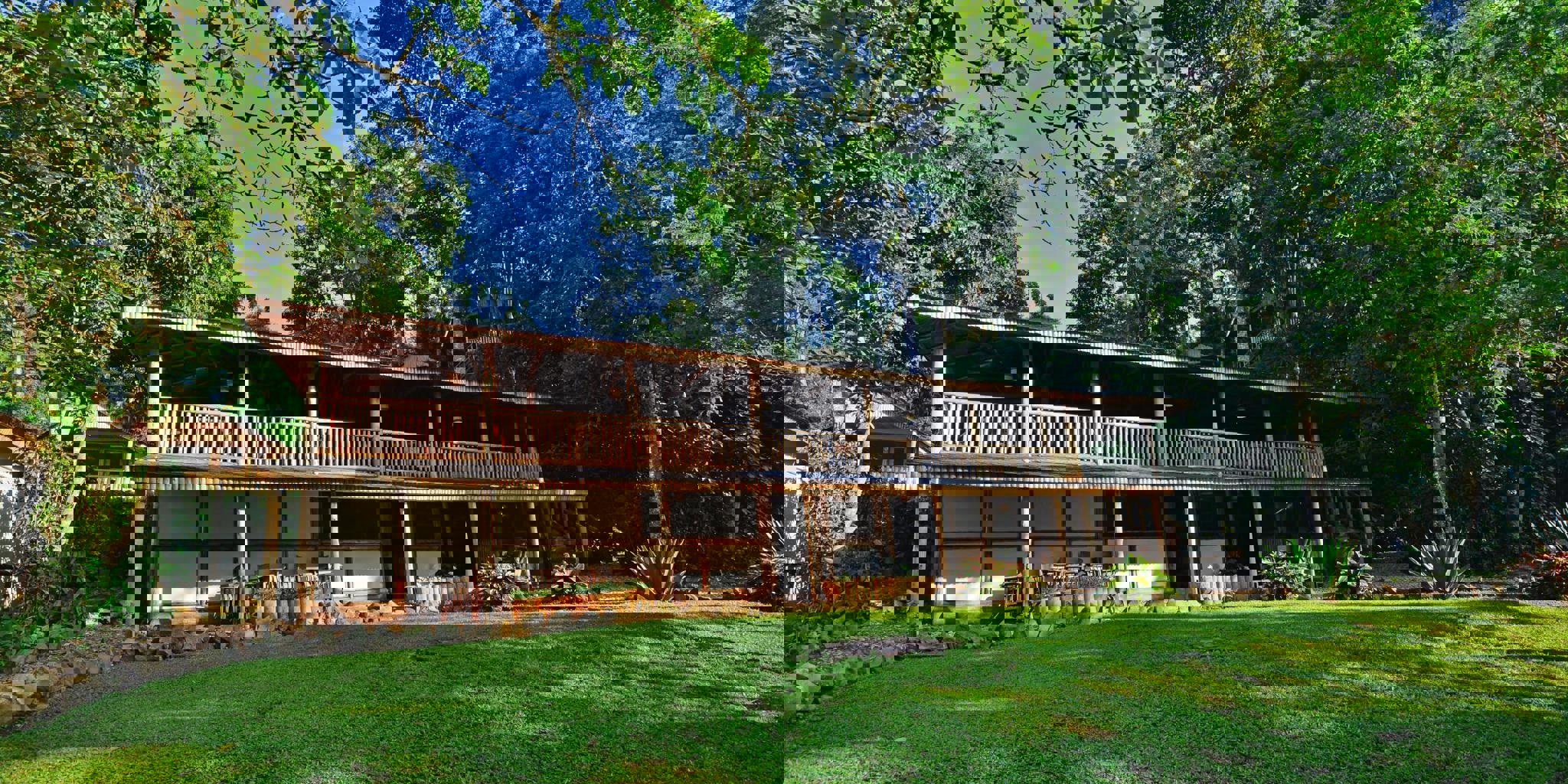 The Cost of Gorilla Trekking Explained