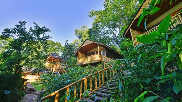 Guest rooms, Buhoma Lodge, Bwindi, Uganda
