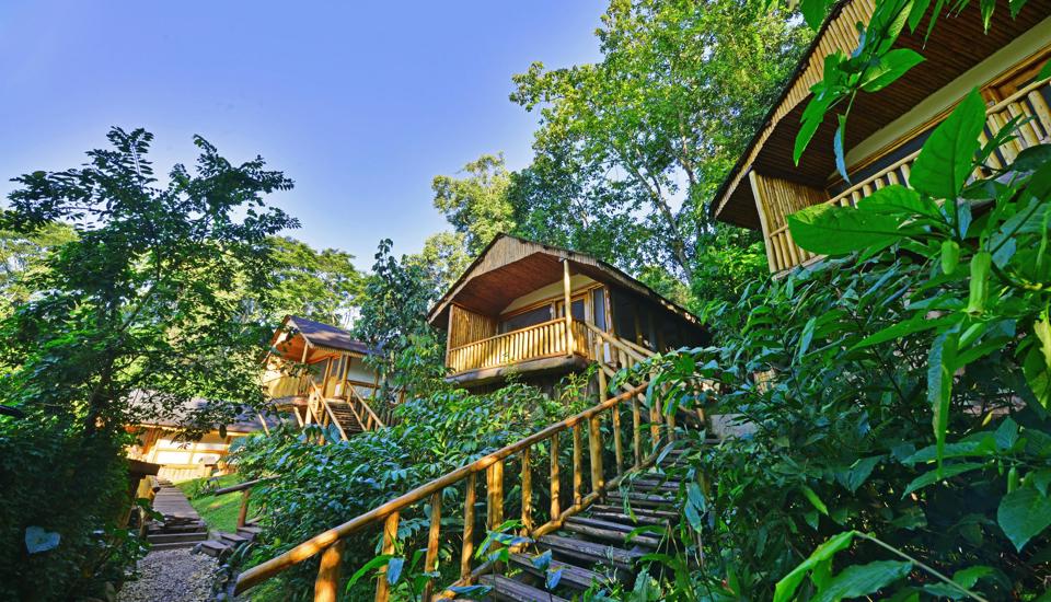 Guest rooms, Buhoma Lodge, Bwindi, Uganda