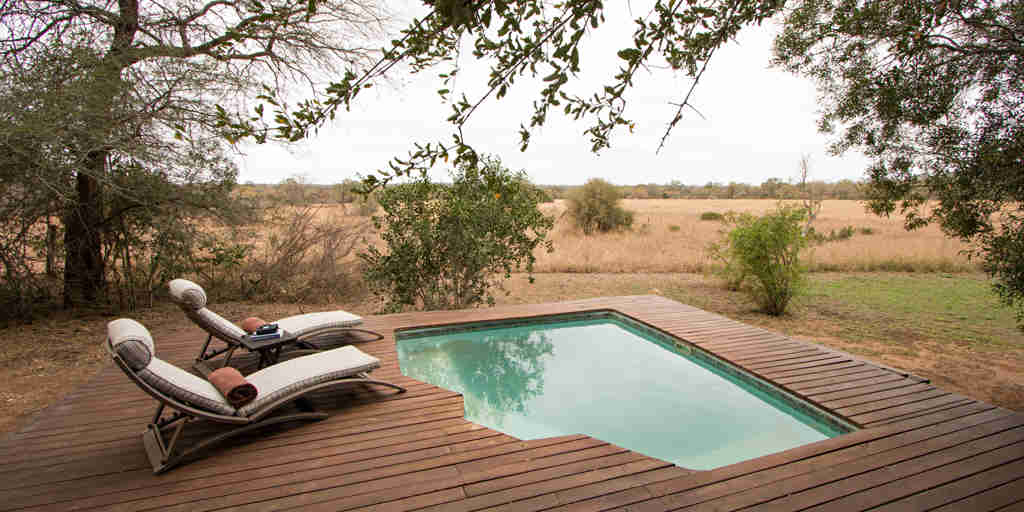 pool, plains camp, rhino walking safaris, kruger national park, south africa