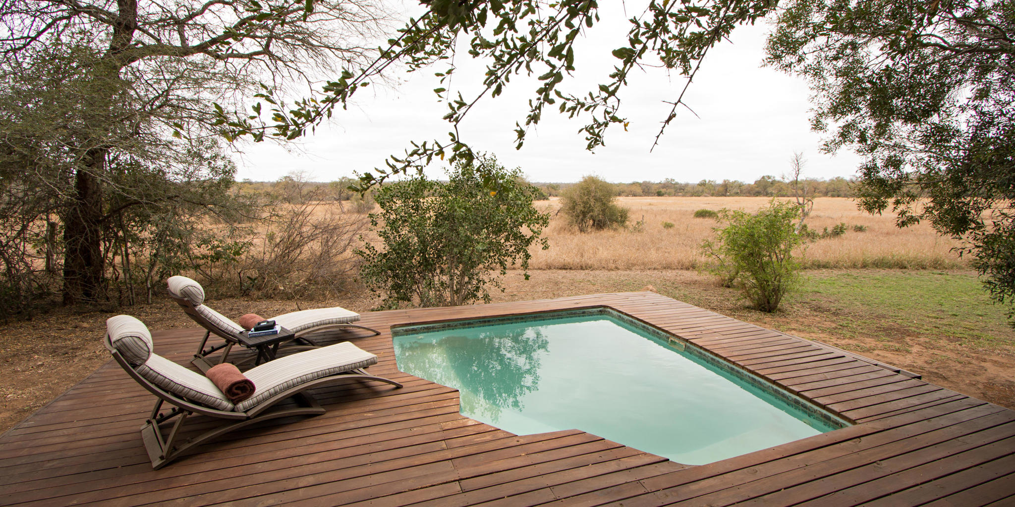 pool, plains camp, rhino walking safaris, kruger national park, south africa