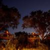 sleep out, plains camp, rhino walking safaris, kruger national park, south africa