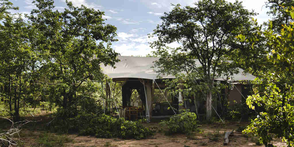 main tent, simbavati trails camp, timbavati, south africa