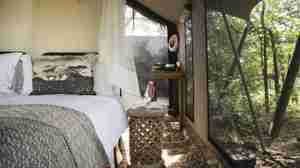 bedroom, simbavati trails camp, timbavati, south africa