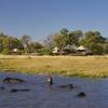 game, tuludi camp, khwai private reserve, botswana