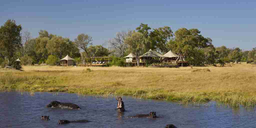 game, tuludi camp, khwai private reserve, botswana