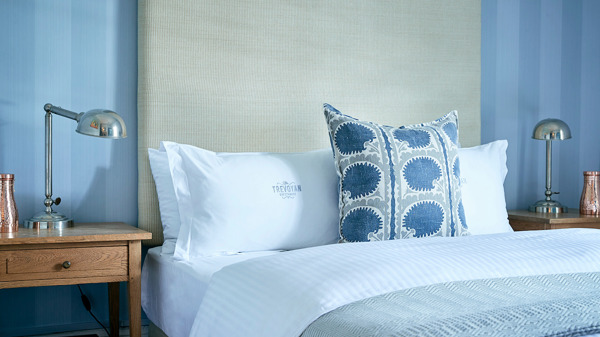 queen, trevoyan guesthouse, cape town, south africa