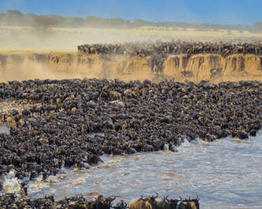 3. Inspiration   Great Migration