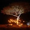bush dinner, offbeat ndoto, maasai mara, kenya