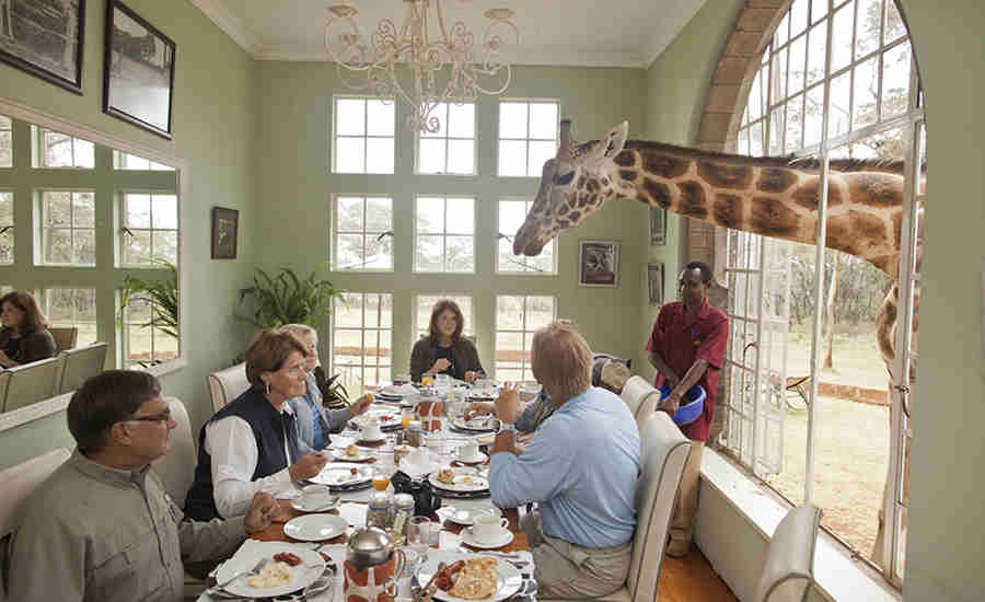 giraffe manor breakfast with giraffes s2