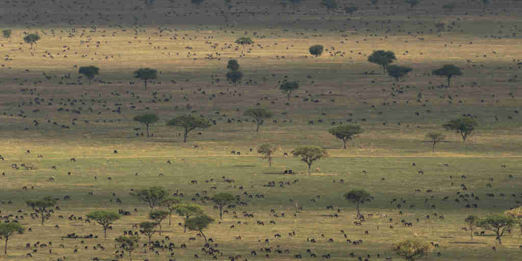 Grumeti views, Serengeti plains, Tanzania safari, Africa