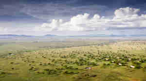 Grumeti Game Reserve, Serengeti, Tanzania safaris, Africa