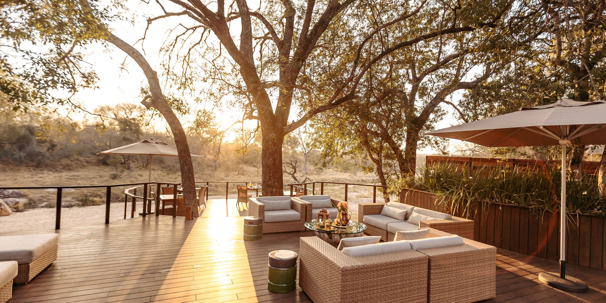 pool deck, dulini moya, sabi sand reserves, south africa